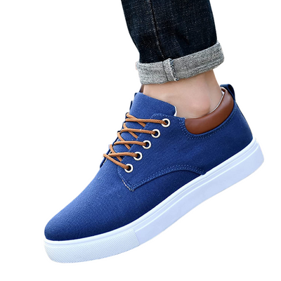 Classic Men's Sneakers
